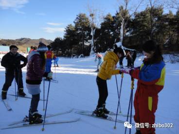 1530264591659890.jpg 3 10.jpg